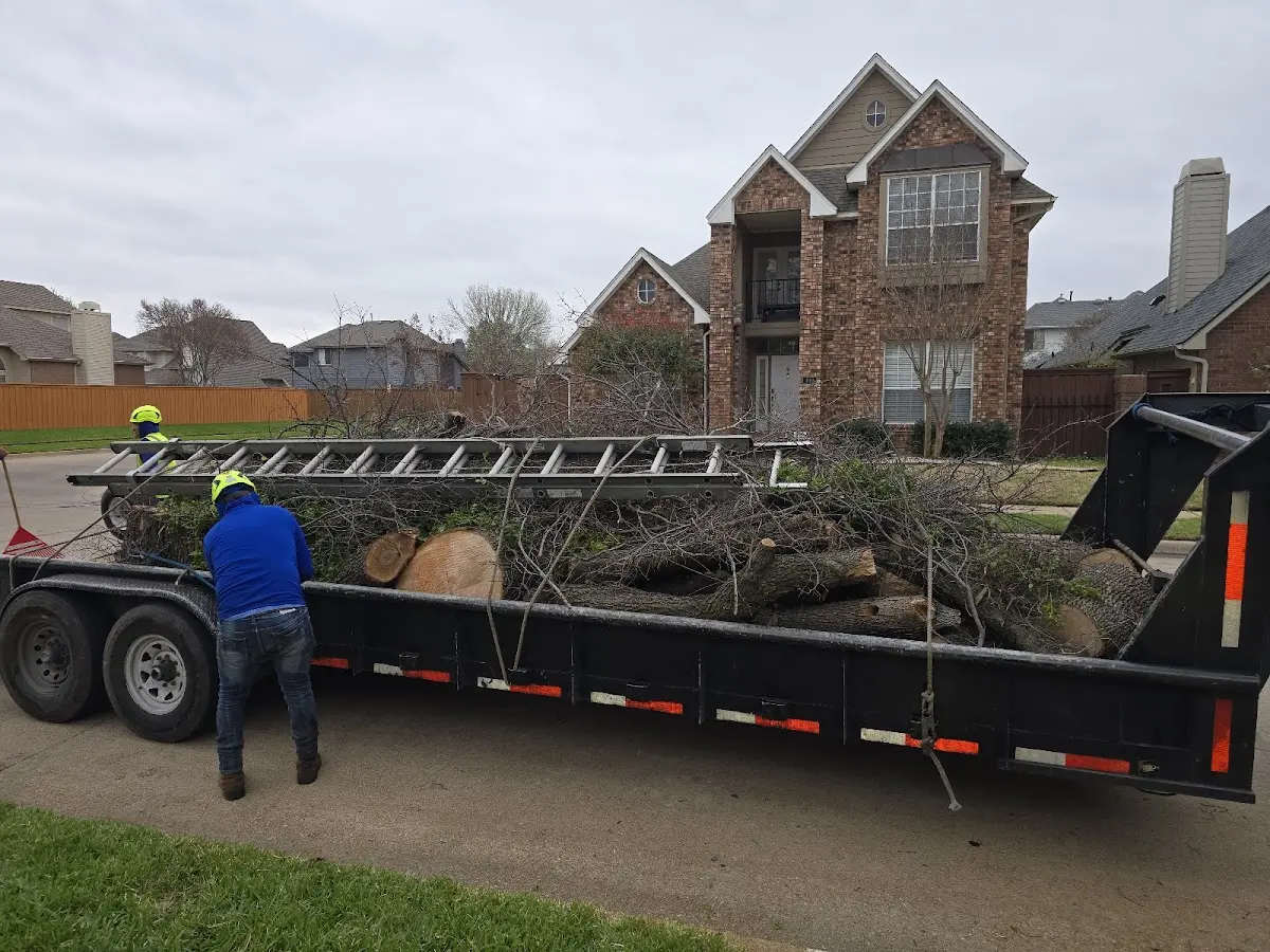 Expert Tree Pest Control with proper safety equipment in Holly Springs